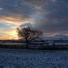 Winterlicher Sonnenaufgang an der Schlei