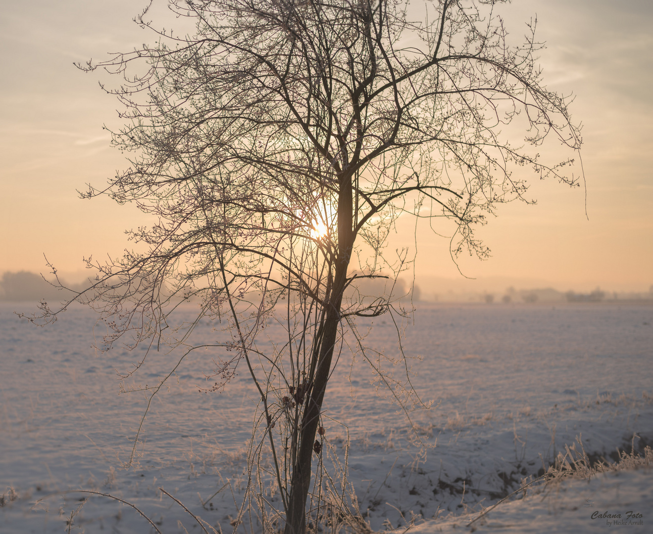 winterlicher Sonnenaufgang 