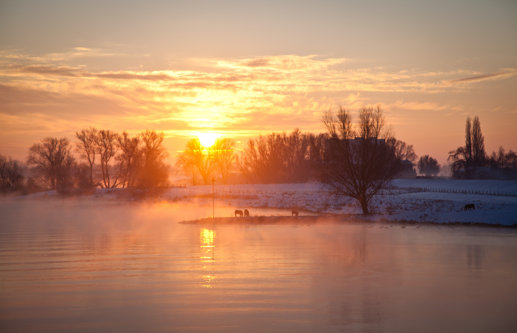 Winterlicher Sonnenaufgang