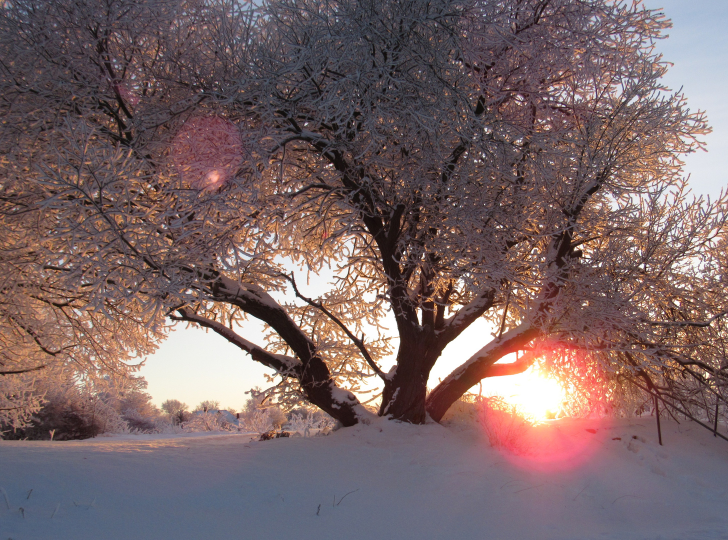 winterlicher Sonnenaufgang