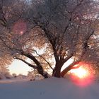 winterlicher Sonnenaufgang