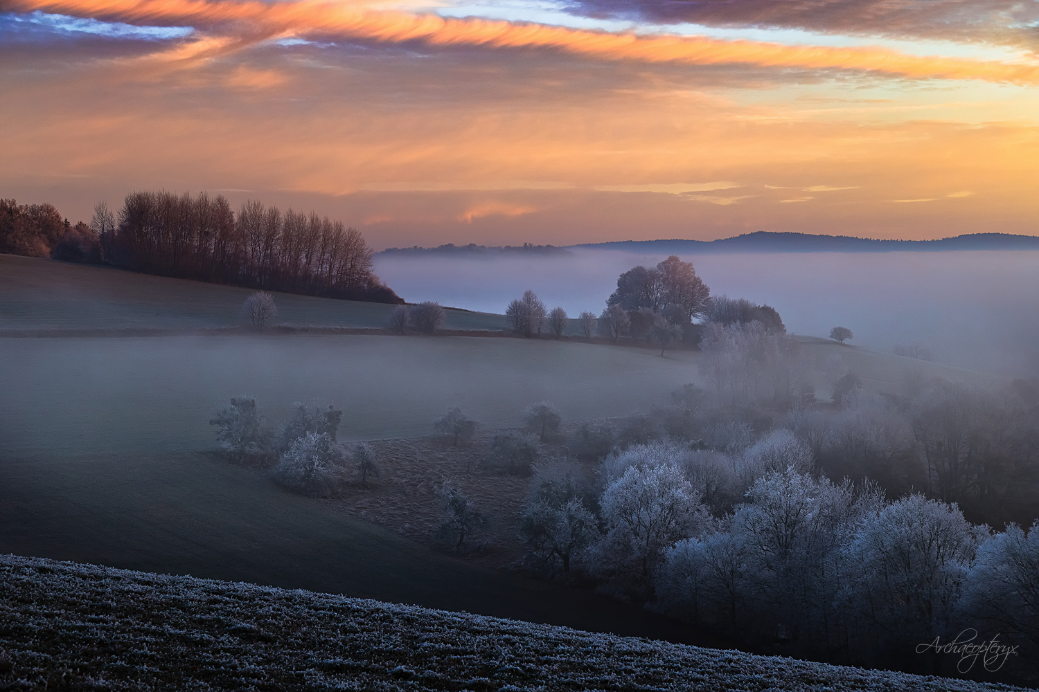 Winterlicher Sonnenaufgang im Odenwald