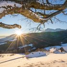 winterlicher Sonnenaufgang im Rupertiwinkel