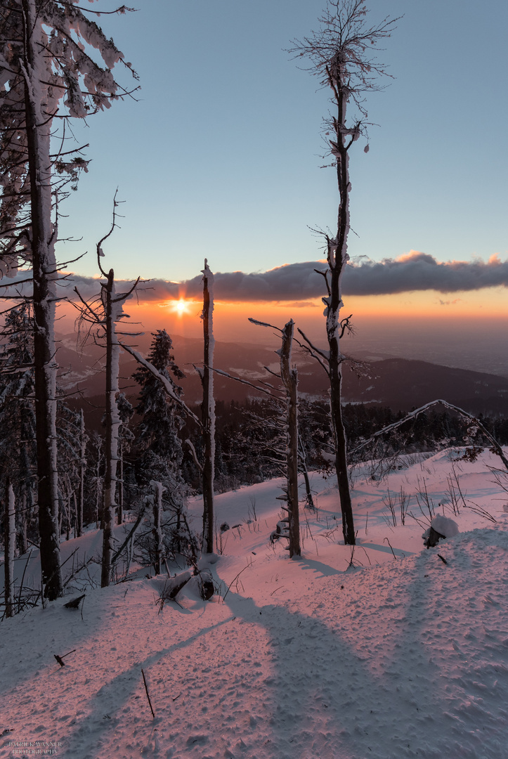 Winterlicher Sonnenuntergang