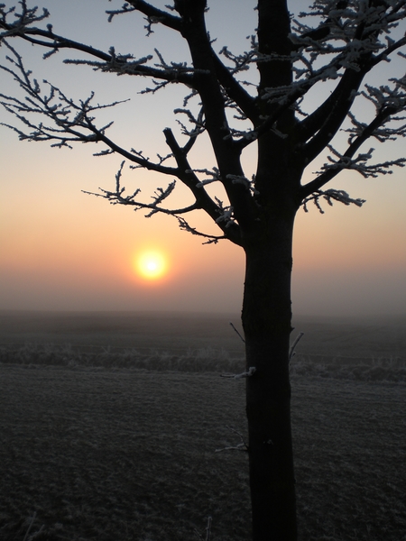 winterlicher sonnenuntergang