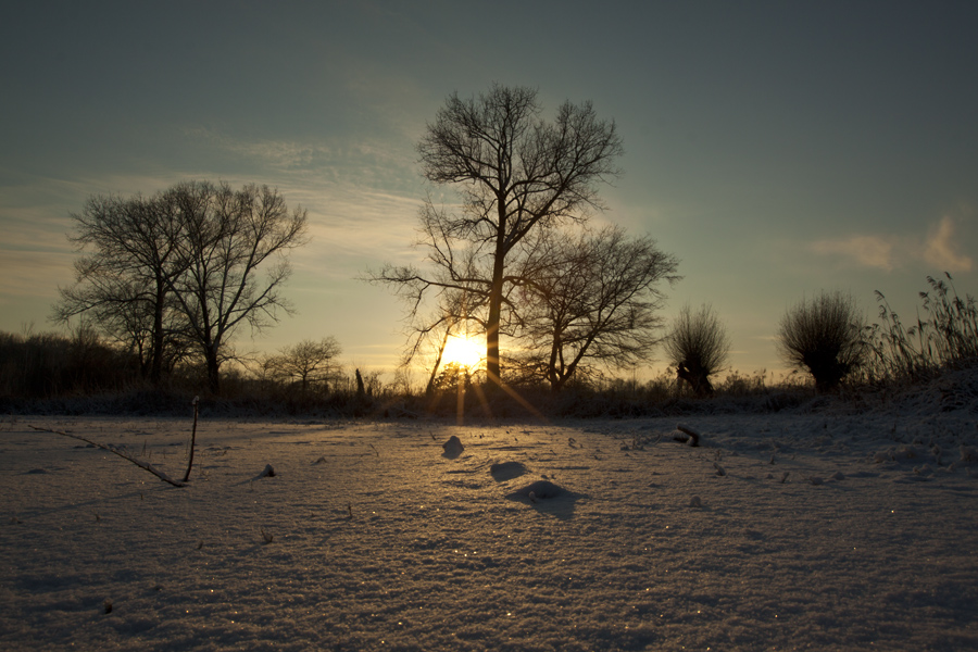 - Winterlicher Sonnenuntergang -