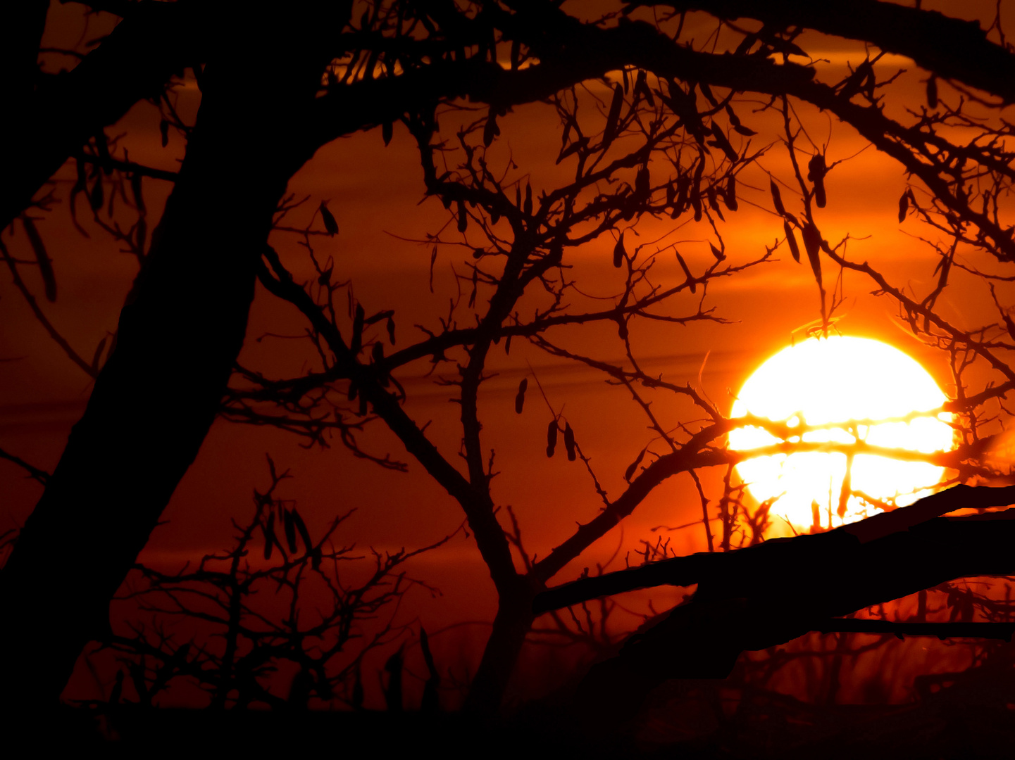 Winterlicher Sonnenuntergang am Niederrhein