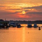 Winterlicher Sonnenuntergang am Oberrhein