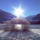 Winterlicher Sonnenuntergang am See