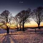 Winterlicher Sonnenuntergang auf dem Schauinsland