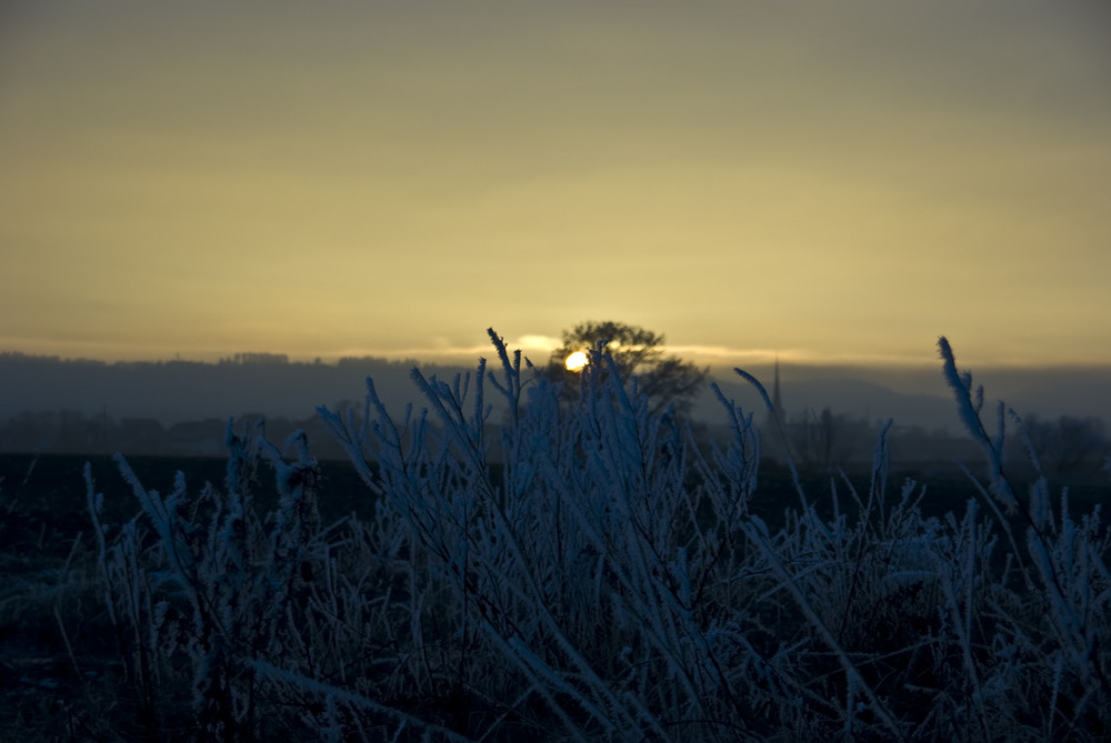 Winterlicher Sonnenuntergang