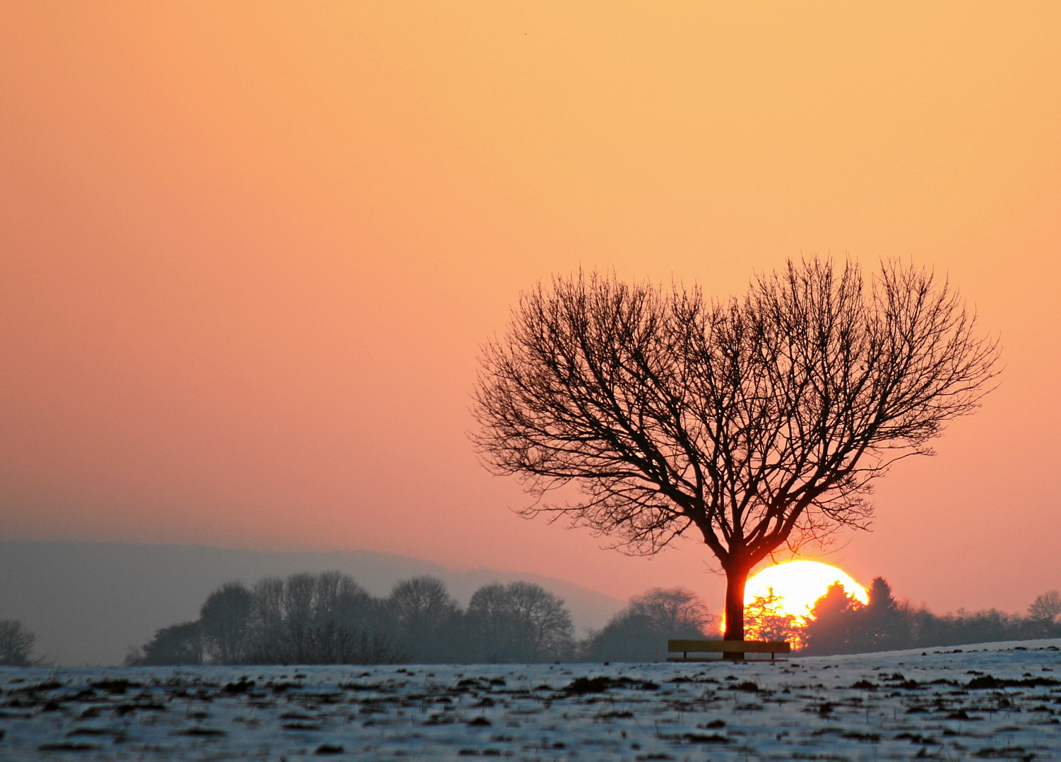 Winterlicher Sonnenuntergang bei Donaueschingen