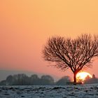 Winterlicher Sonnenuntergang bei Donaueschingen