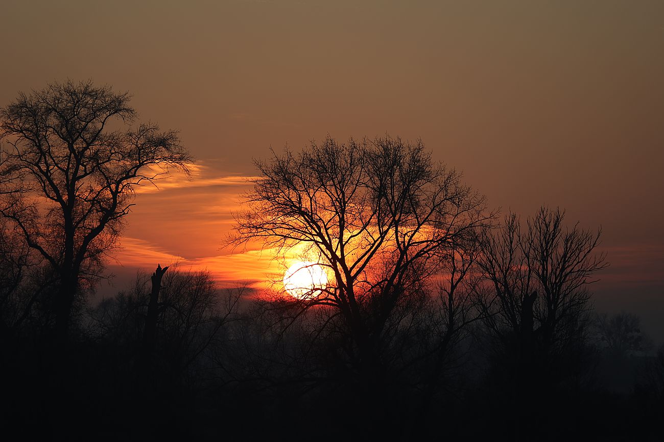 Winterlicher Sonnenuntergang