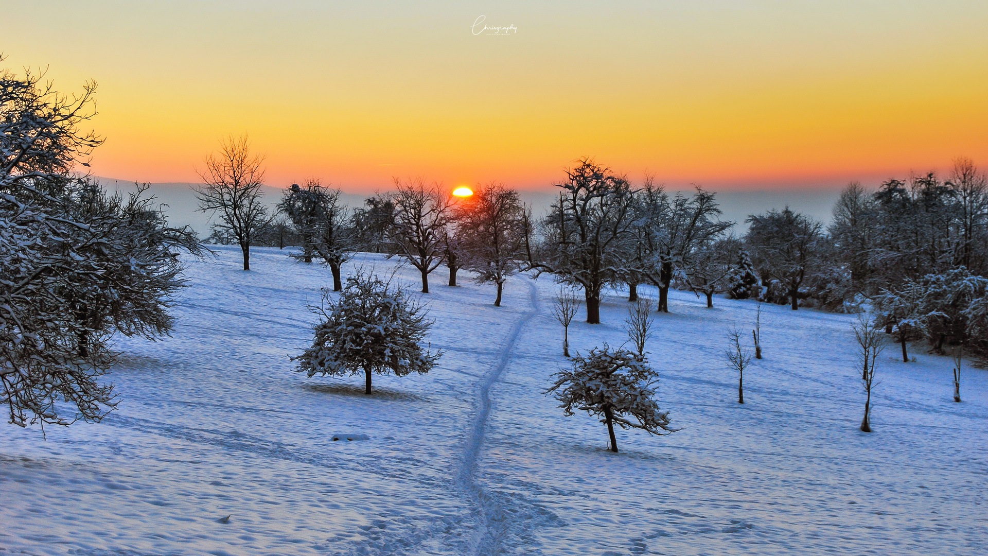 Winterlicher Sonnenuntergang