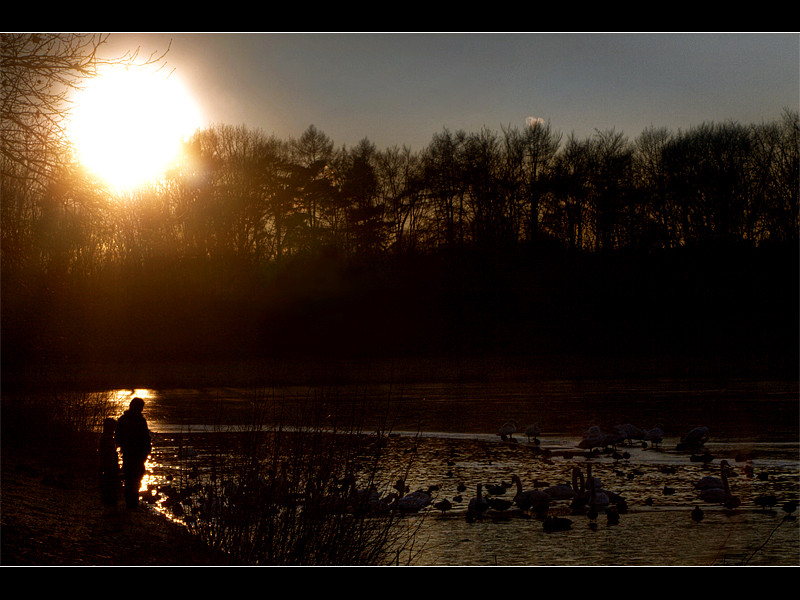 Winterlicher Sonnenuntergang