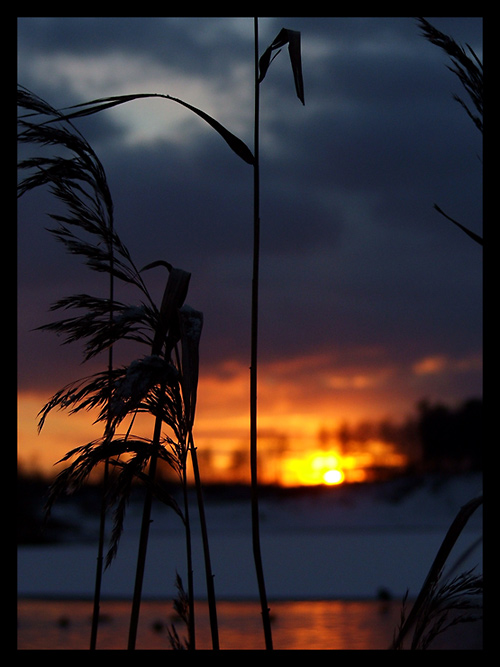 Winterlicher Sonnenuntergang