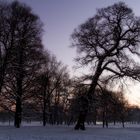 Winterlicher Sonnenuntergang im Englischen Garten