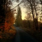 Winterlicher Sonnenuntergang im Forstenrieder Park