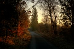 Winterlicher Sonnenuntergang im Forstenrieder Park