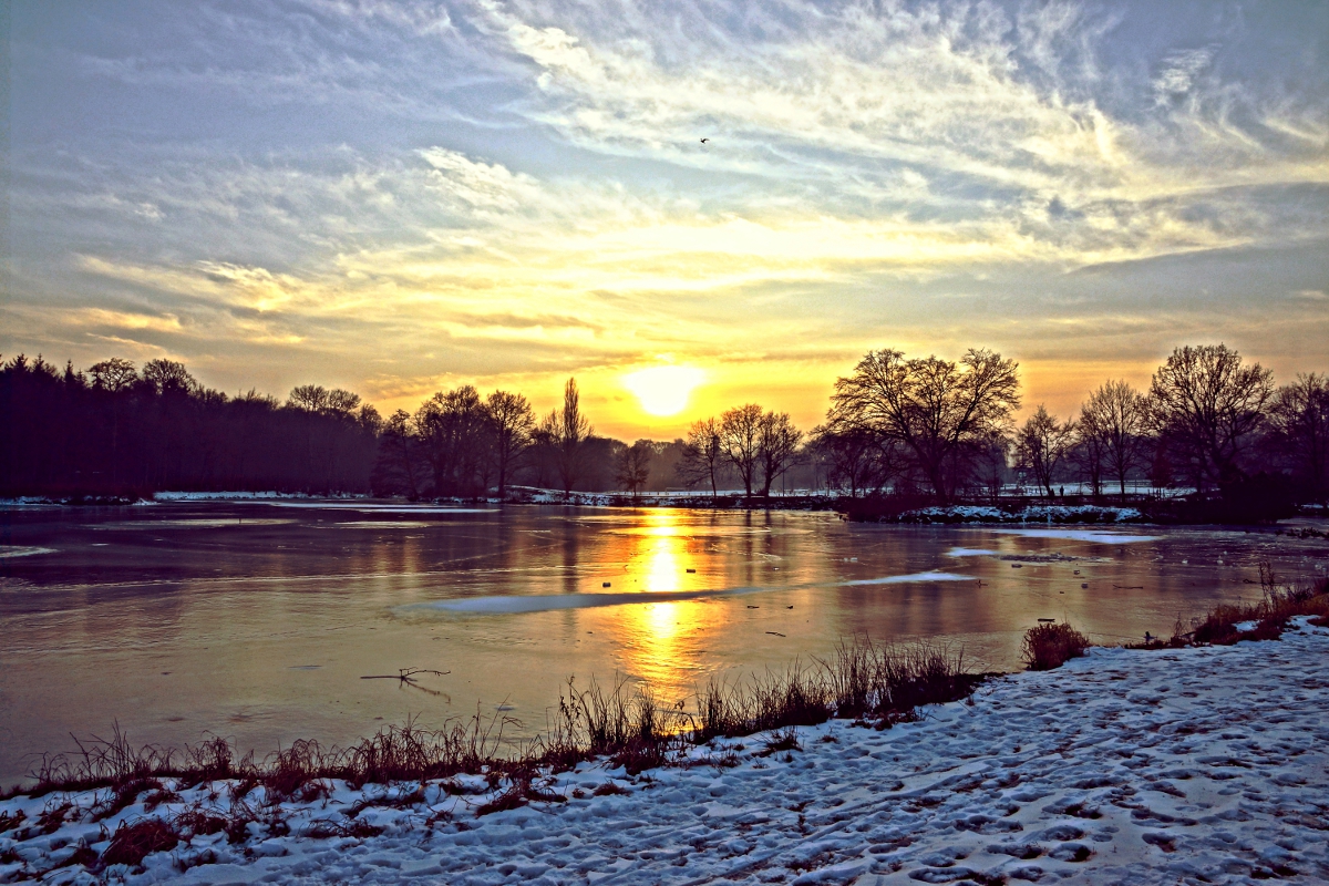 Winterlicher Sonnenuntergang mit Vogel