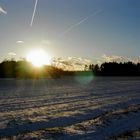 winterlicher Sonnenuntergang über dem Feld