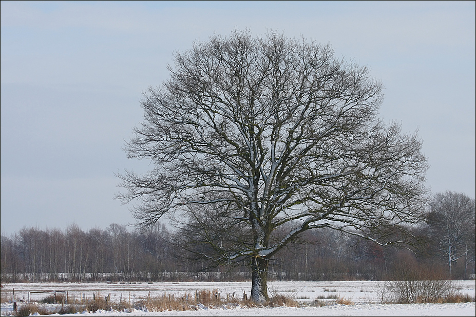 Winterlicher Sonntagmorgen Spaziergang