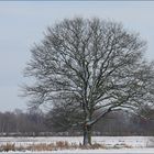 Winterlicher Sonntagmorgen Spaziergang