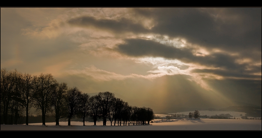 Winterlicher Spätnachmitag