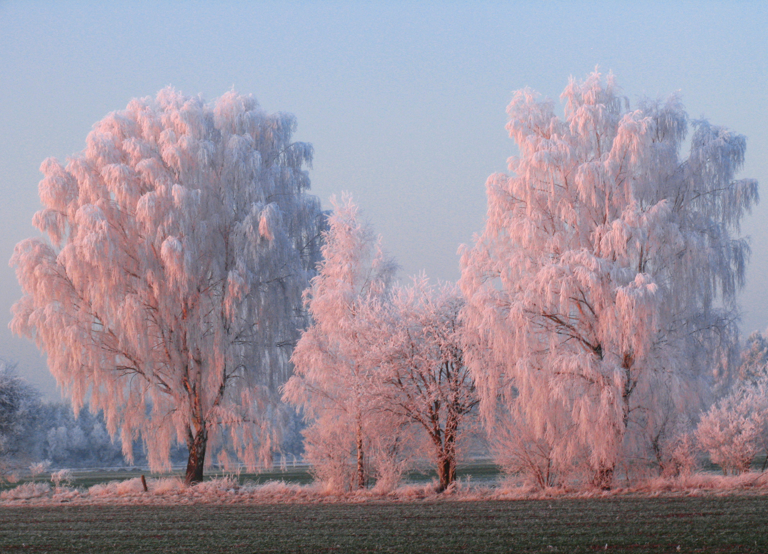 Winterlicher Spätnachmittag in der Nordheide