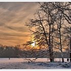 Winterlicher Spaziergang