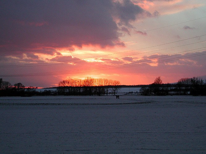 Winterlicher Spaziergang