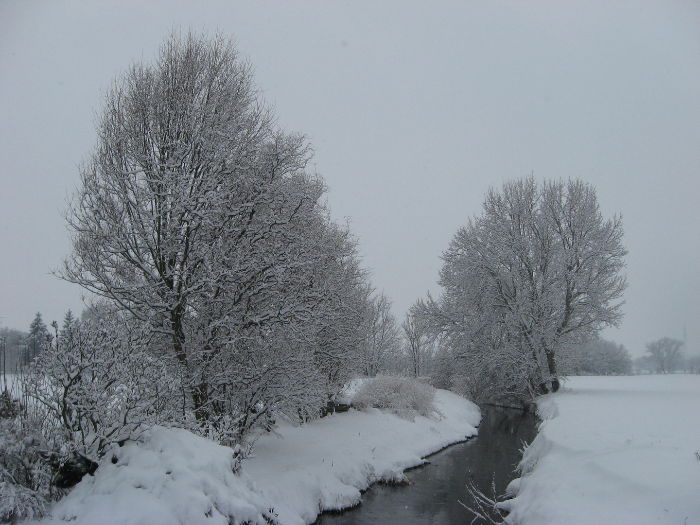 Winterlicher Spaziergang