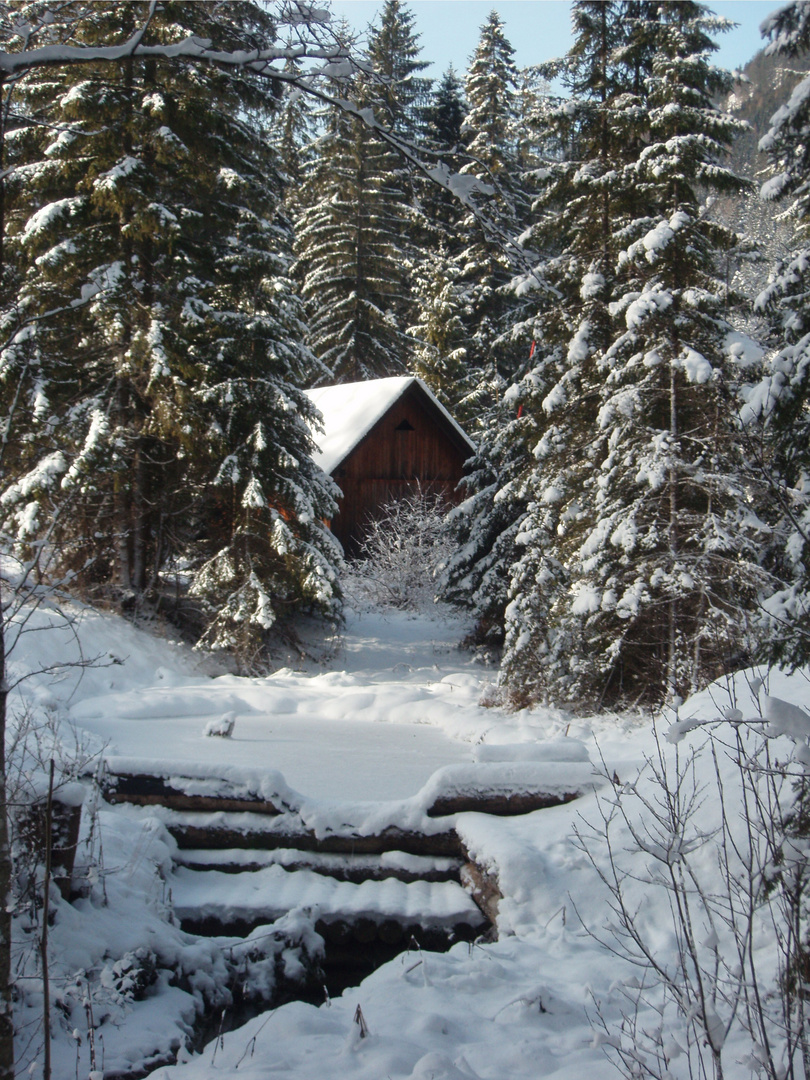 winterlicher Spaziergang