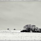 winterlicher Spaziergang