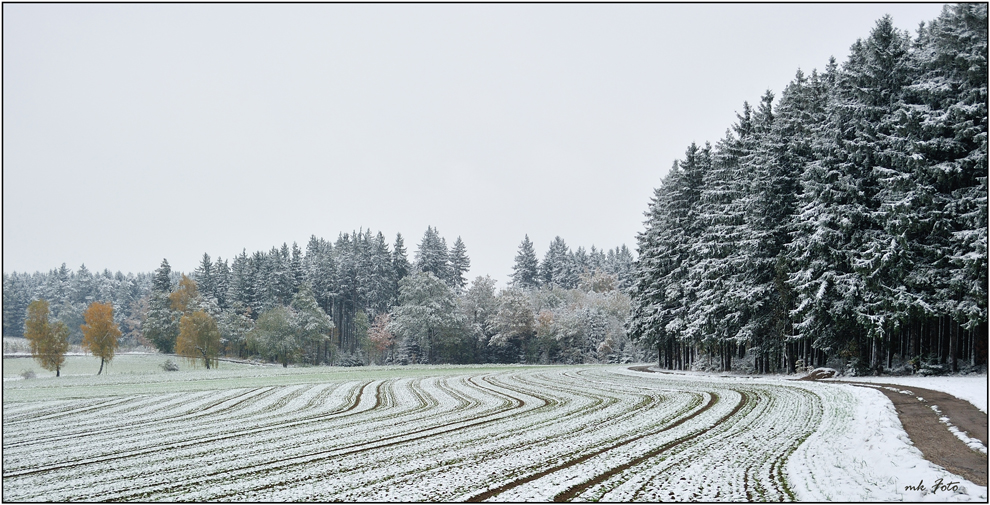 Winterlicher Spaziergang