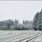 Winterlicher Spaziergang