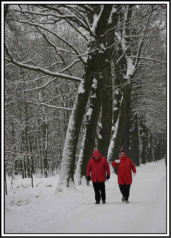 Winterlicher Spaziergang