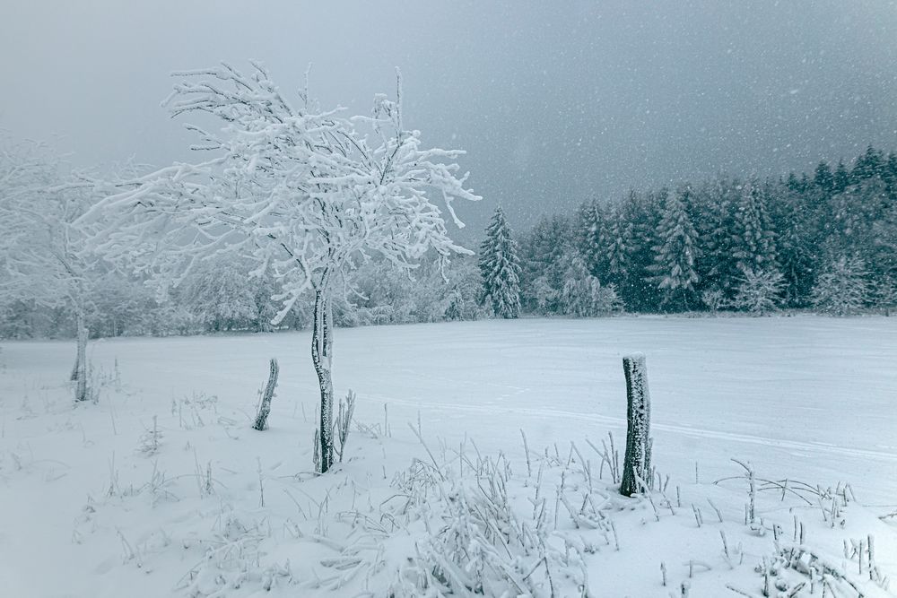 Winterlicher Spaziergang von Geising zur Kohlhaukuppe