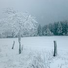 Winterlicher Spaziergang von Geising zur Kohlhaukuppe