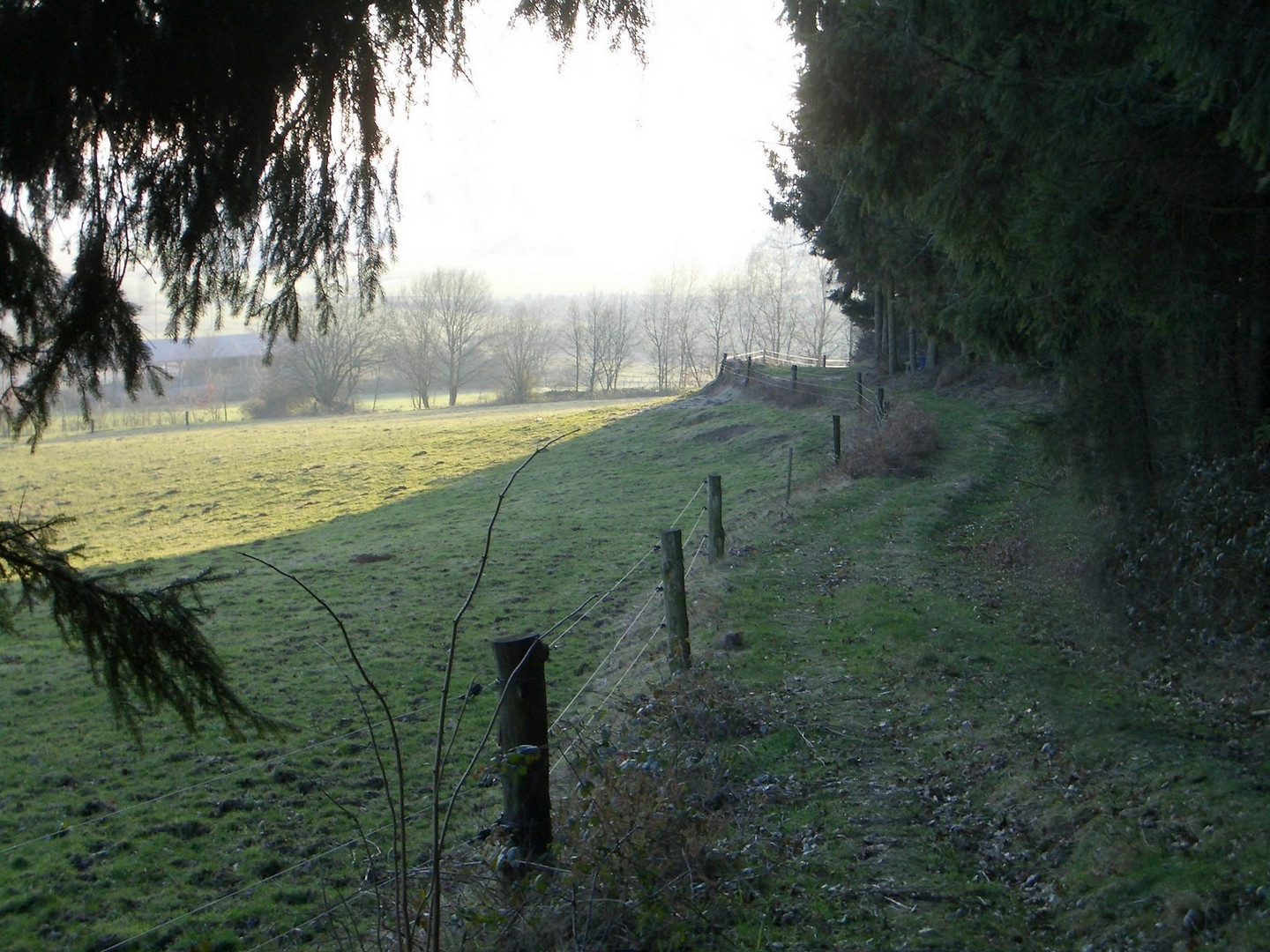 Winterlicher Spazierweg am Wald entlang