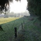 Winterlicher Spazierweg am Wald entlang