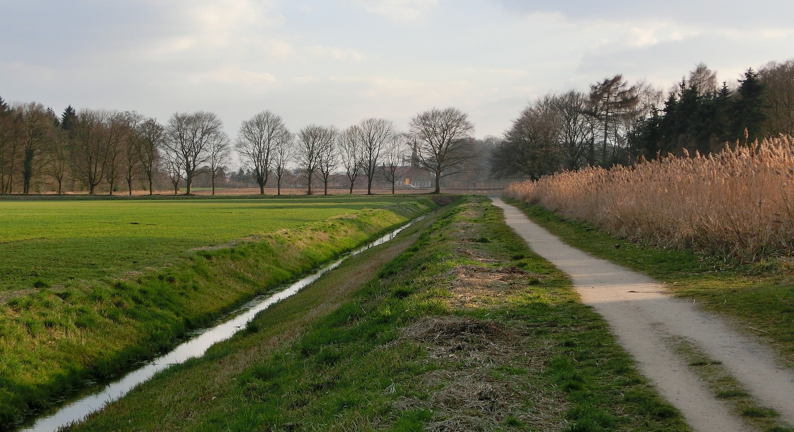 Winterlicher Spazierweg auf dem Lande