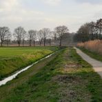 Winterlicher Spazierweg auf dem Lande