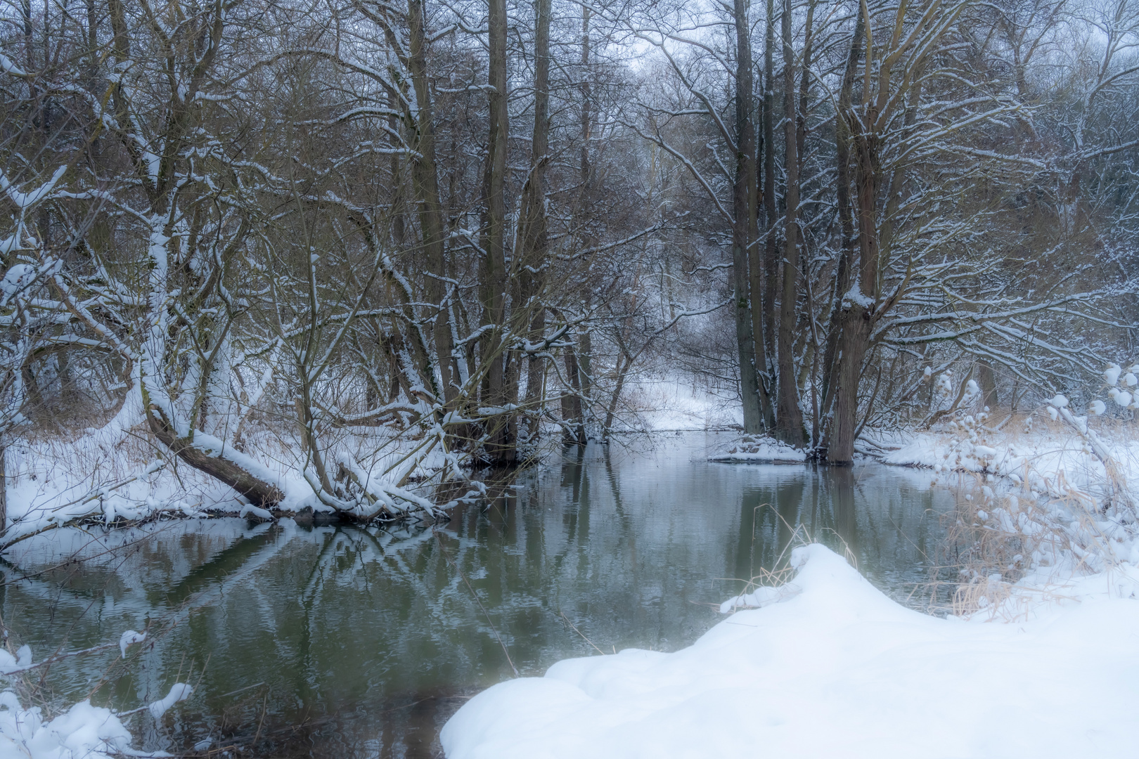 winterlicher Spiegel