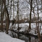 Winterlicher Spreewald