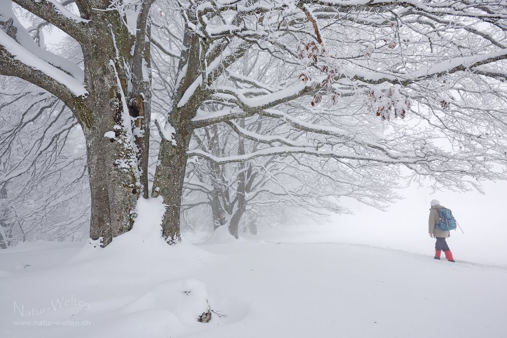 Winterlicher Start ins neue Jahr