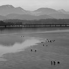 Winterlicher Stausee