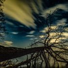 Winterlicher Sternenhimmel über dem Laacher See