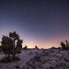 Winterlicher Sternenhimmel während der totalen Mondfinsternis am 21.01.2019